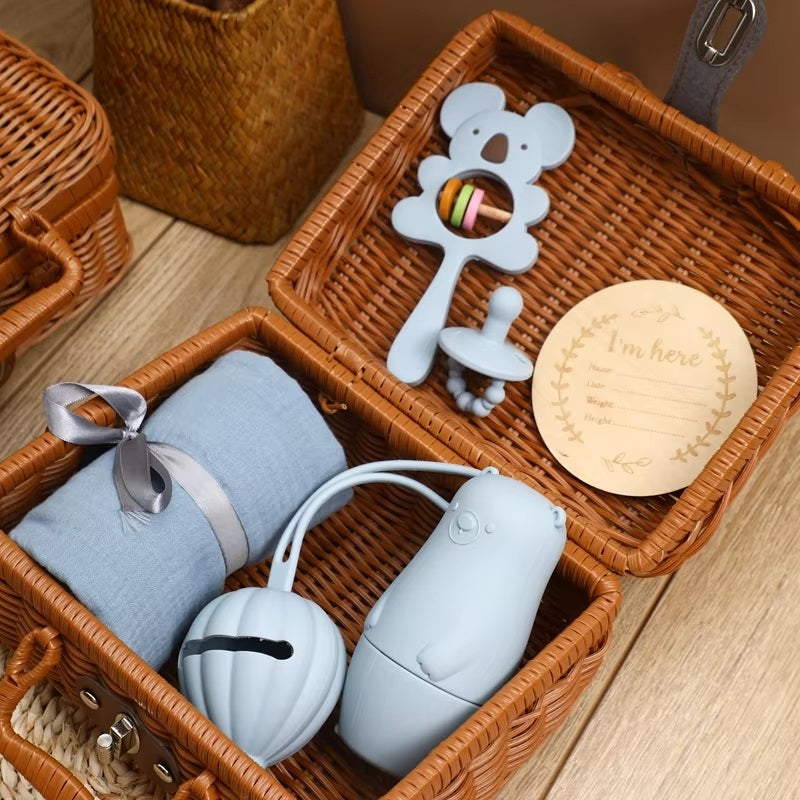 Curvear®️1Set Baby Silicone Pacifier Animal Rattle Rainbow Stacked Toys Newborn Souvenir Milestone Card Baby Birth Teething Gift Box Set