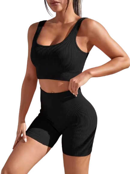 Curvear Seamless 2 Piece Yoga Sets for Women Gym Suit Short Precious High Waist Shorts Fitness Running Outfits