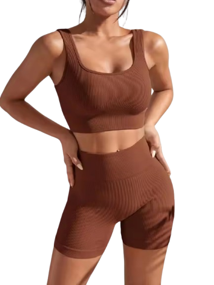 Curvear Seamless 2 Piece Yoga Sets for Women Gym Suit Short Precious High Waist Shorts Fitness Running Outfits